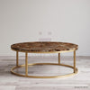 Brown Petrified Wood Coffee Table - HAUTE ARTE