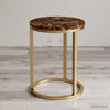 Brown Petrified Wood Side Table - HAUTE ARTE